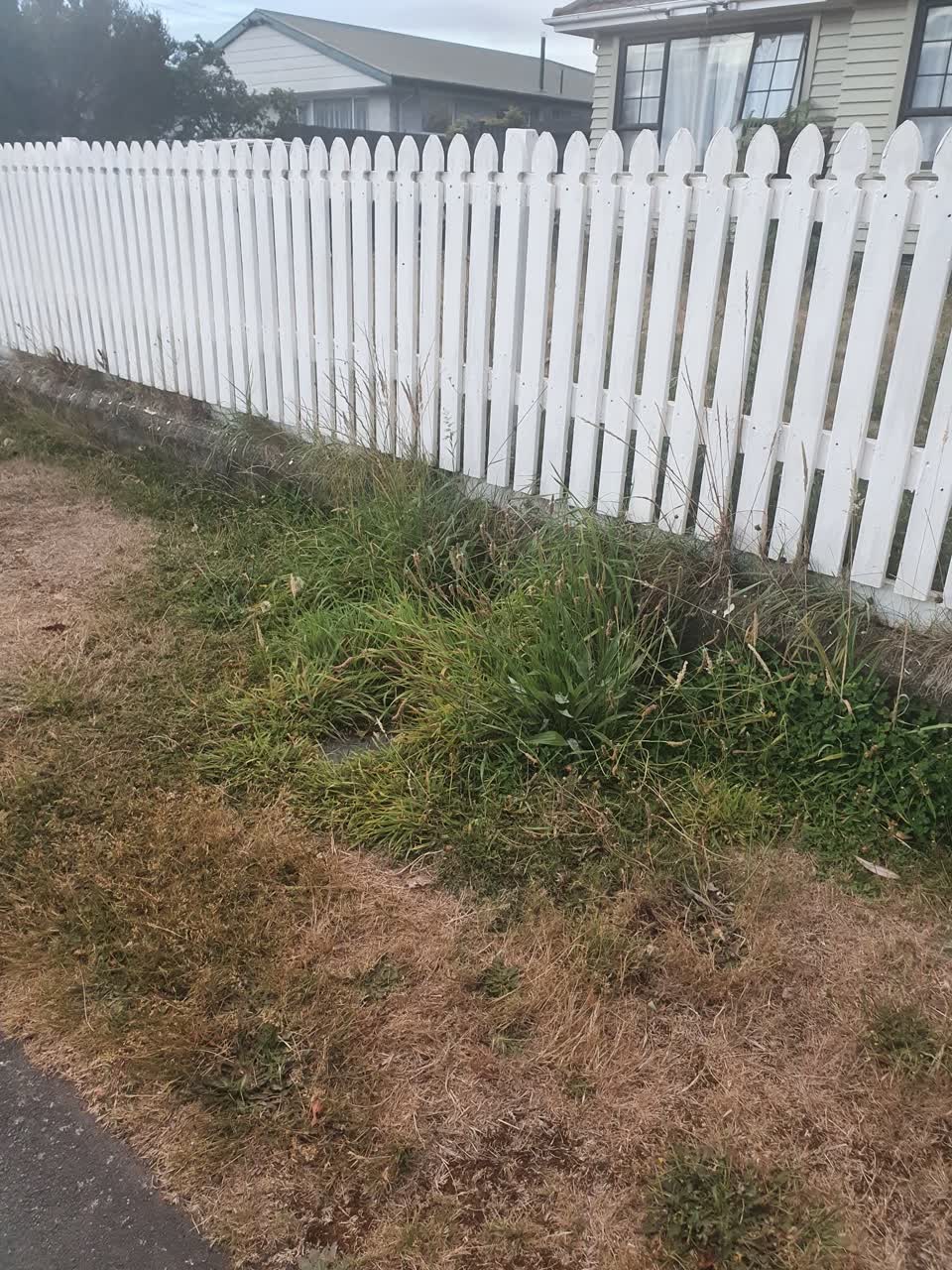The photograph attached to this water supply report