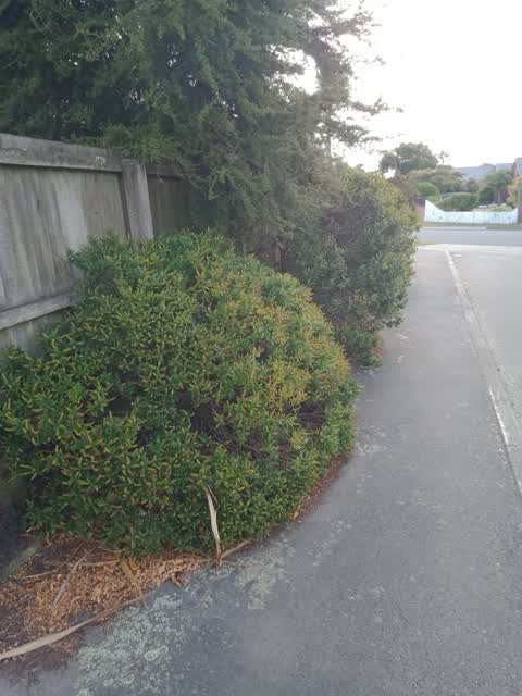 Roading/Streets, a report photo