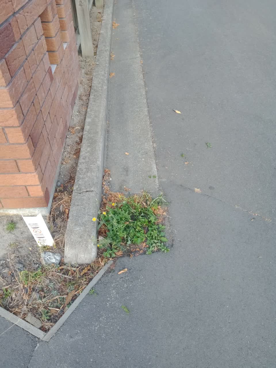 The photograph attached to this sewer - leak / blockage report