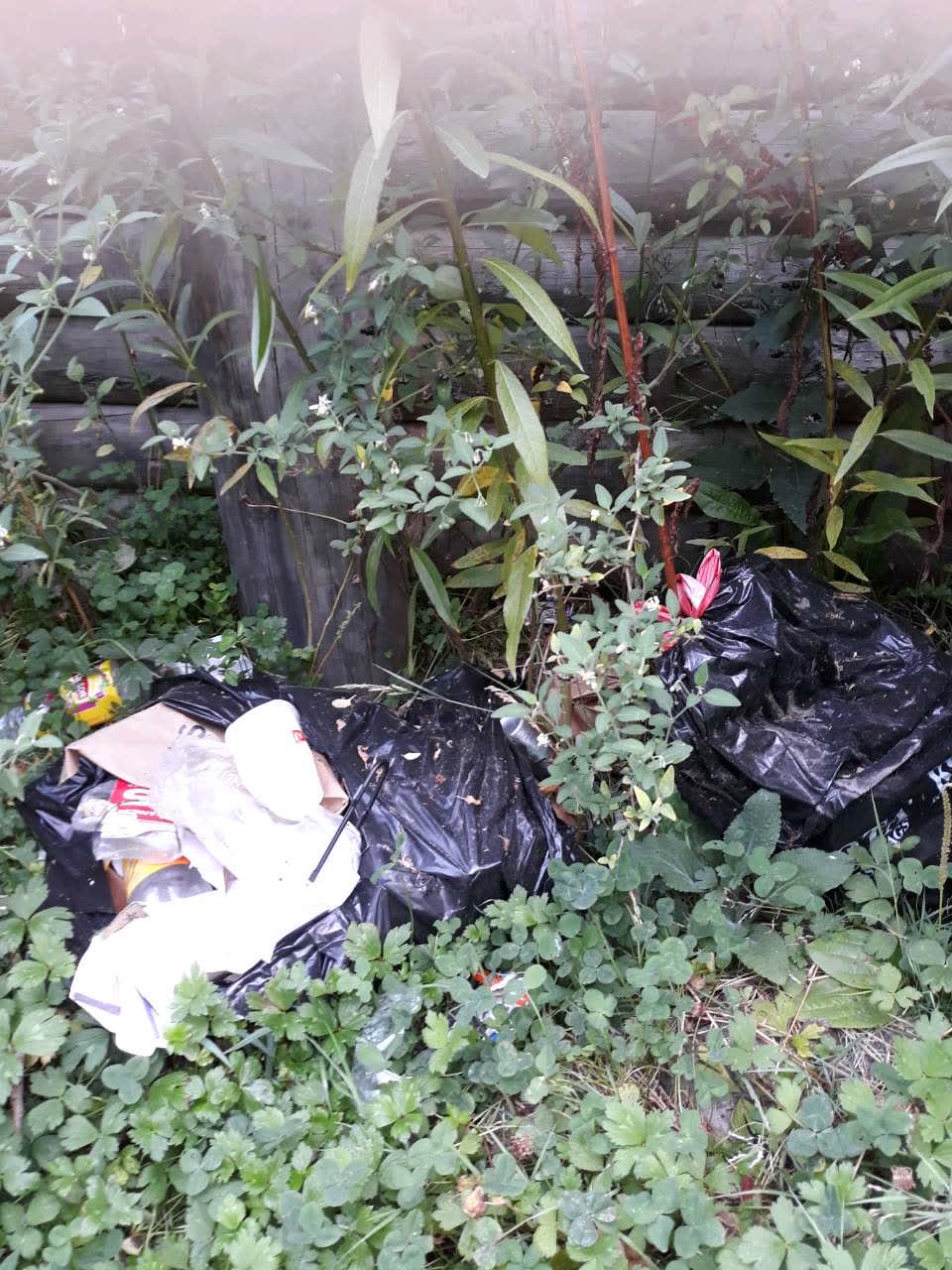 The photograph attached to this rubbish/recycling report
