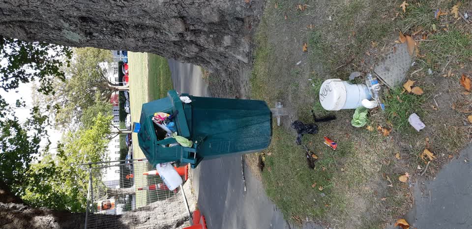 The photograph attached to this rubbish/recycling report