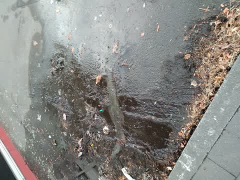 Water Leak, a report photo