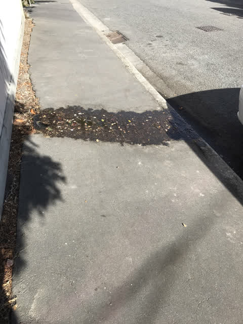 Water Leak, a report photo