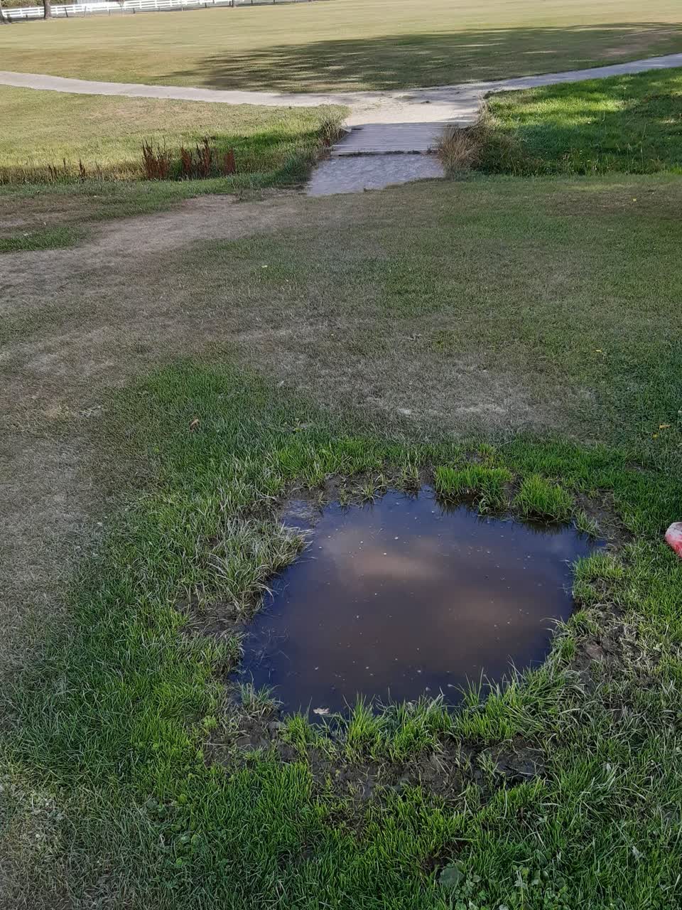 The photograph attached to this parks report