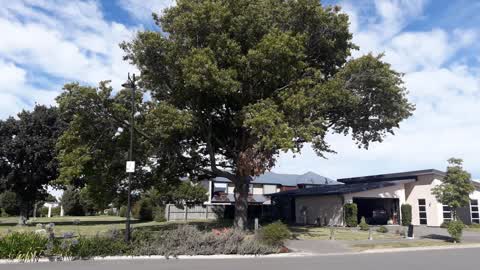 Parks, a report photo