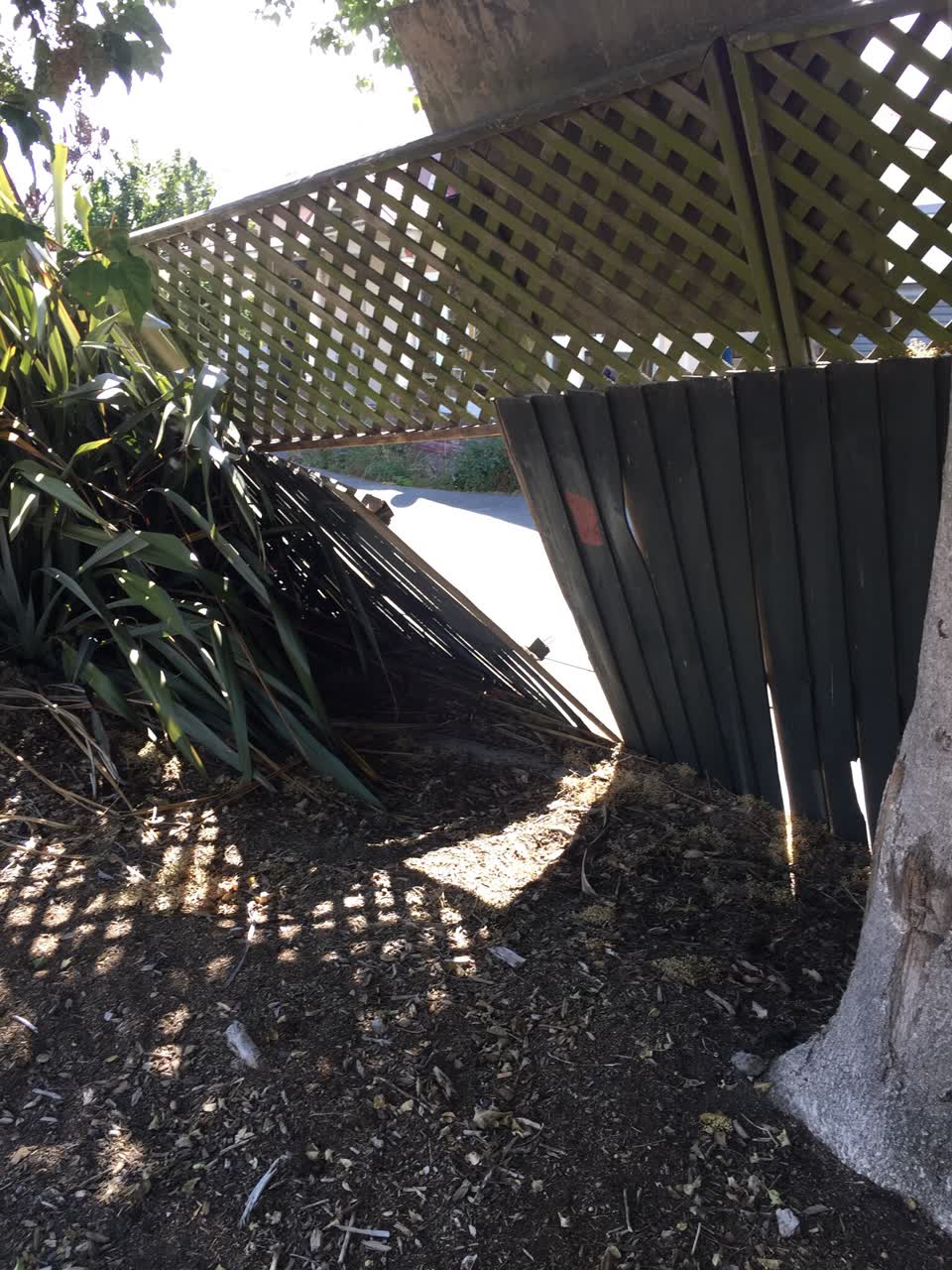 The photograph attached to this parks report