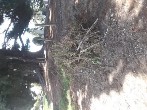 Parks, a report photo