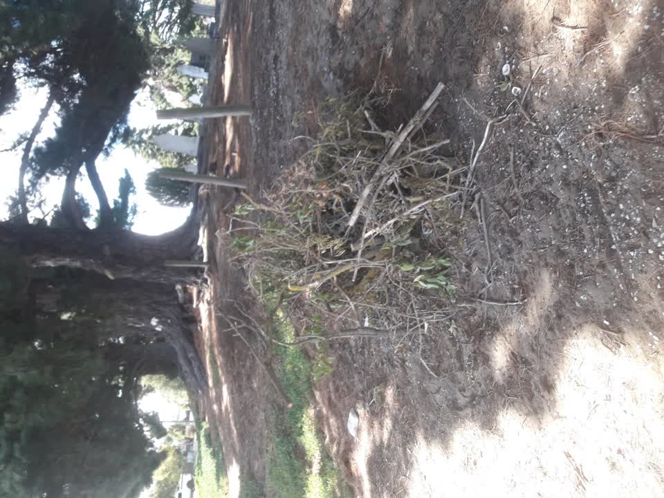 The photograph attached to this parks report