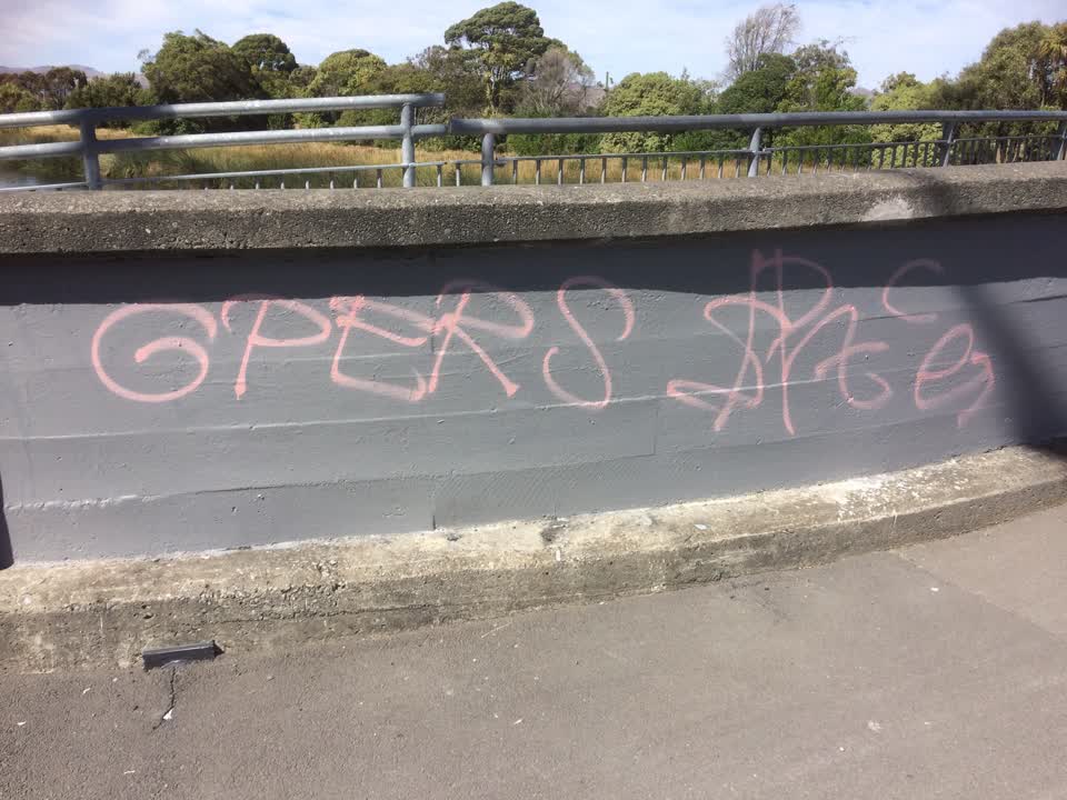 The photograph attached to this graffiti report