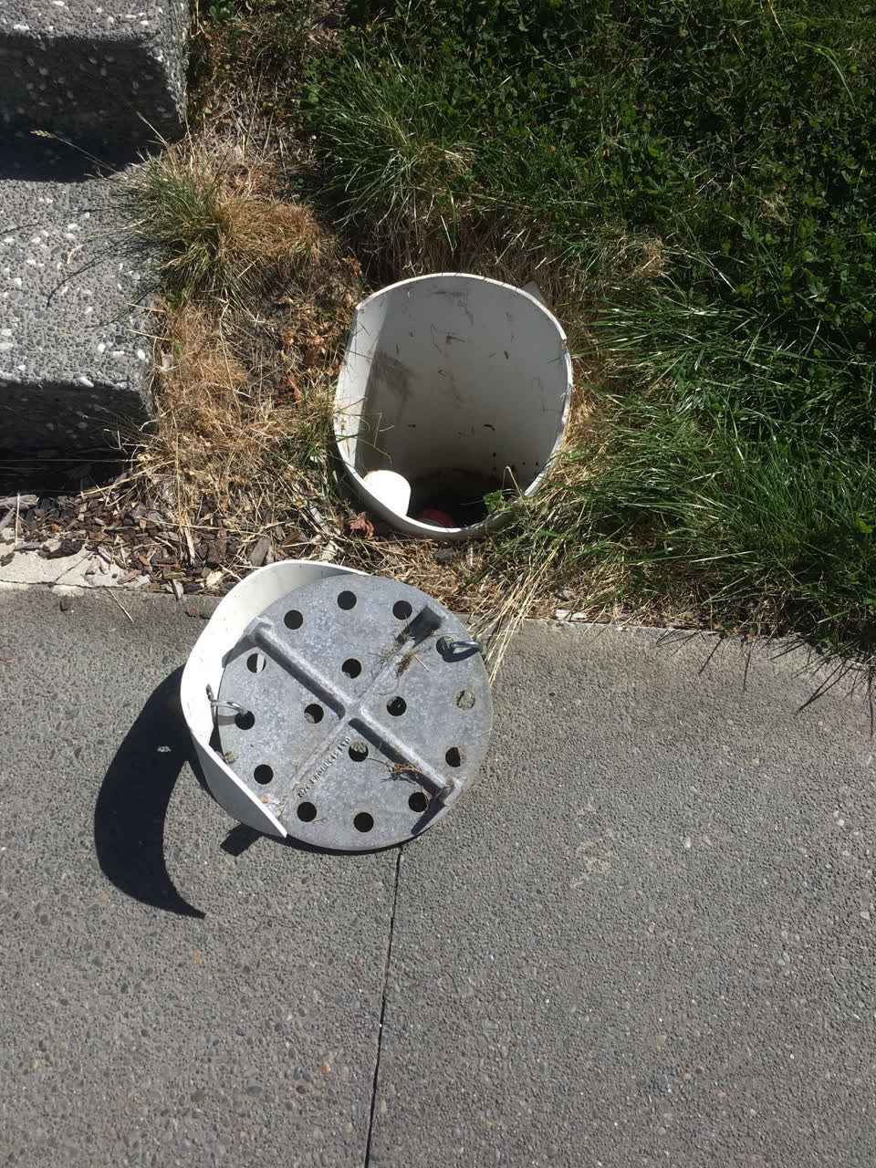 The photograph attached to this parks report