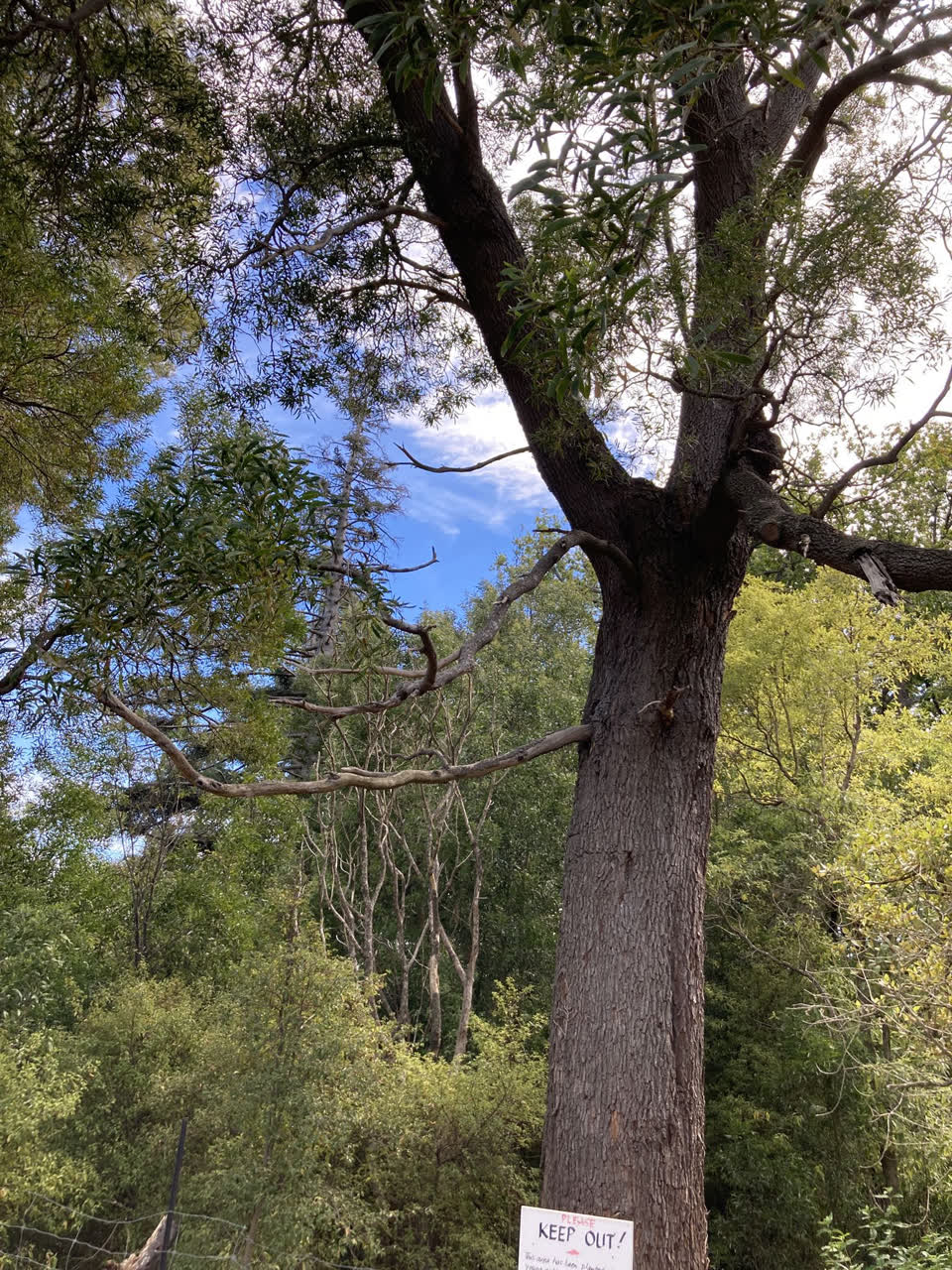 The photograph attached to this parks report