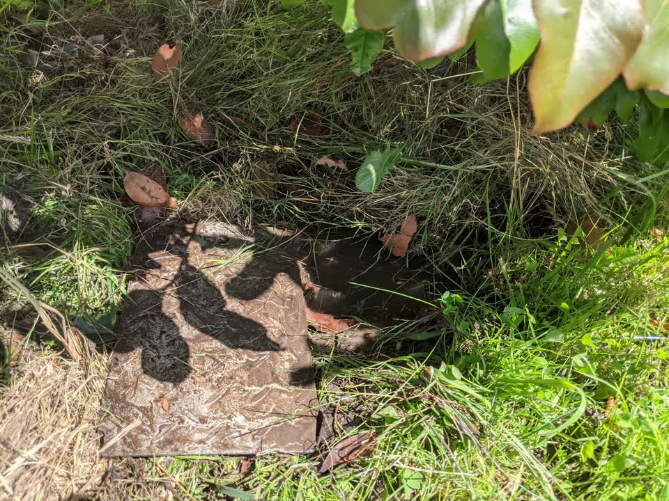 The photograph attached to this water leak report