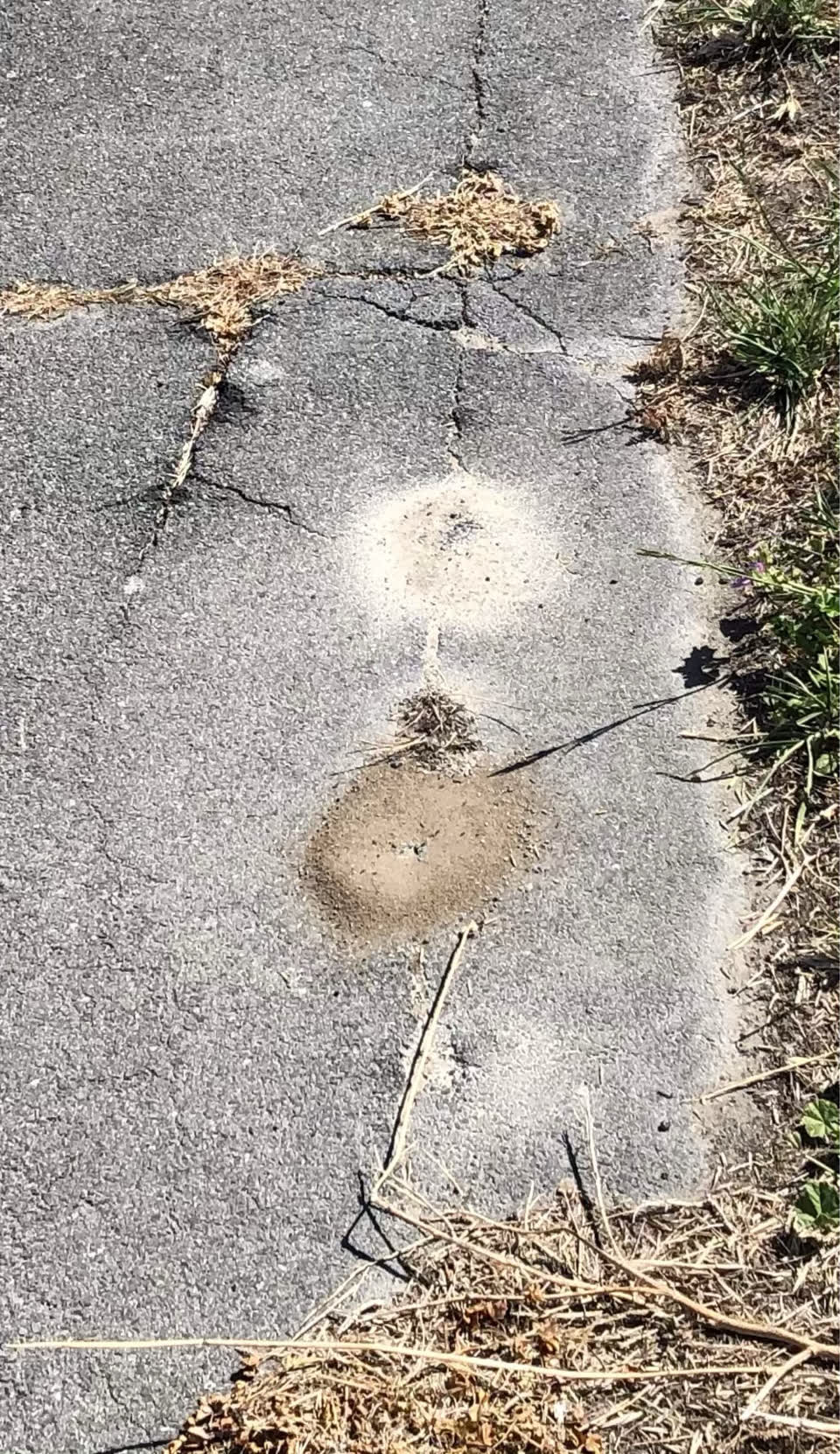 The photograph attached to this roading/streets report
