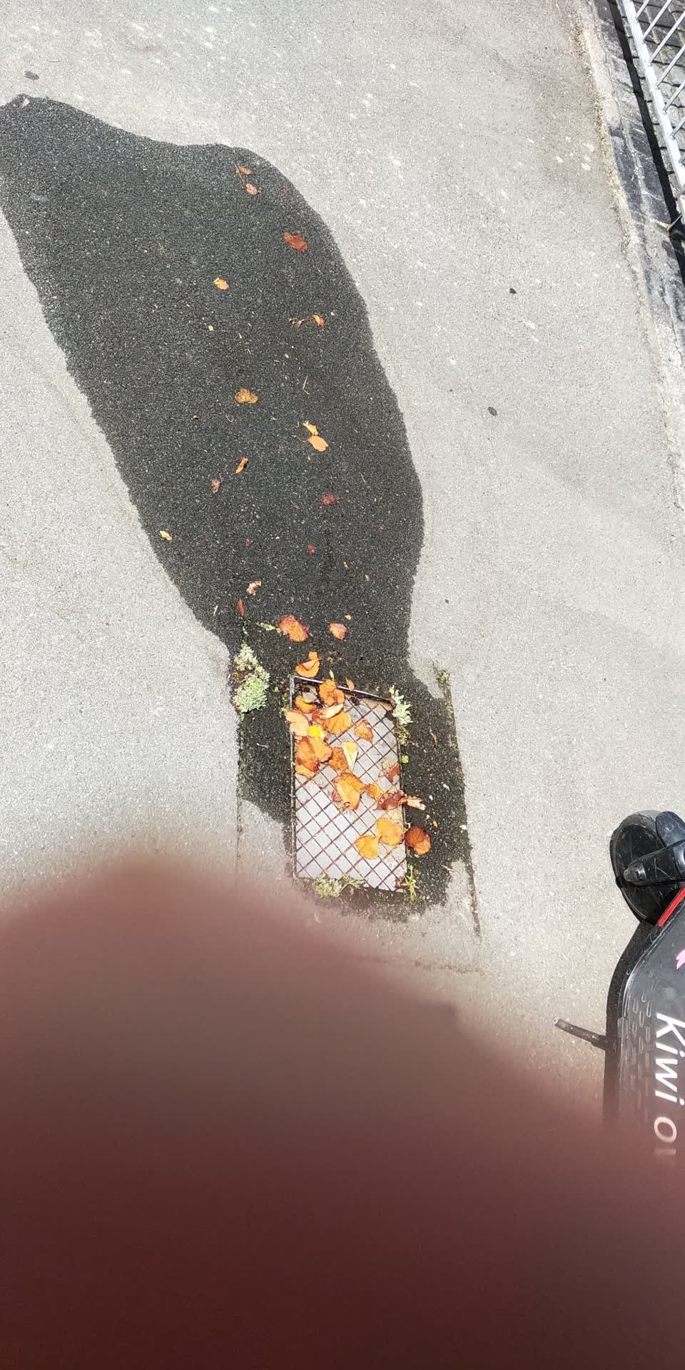 The photograph attached to this water leak report