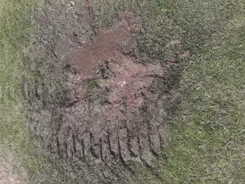 Parks, a report photo