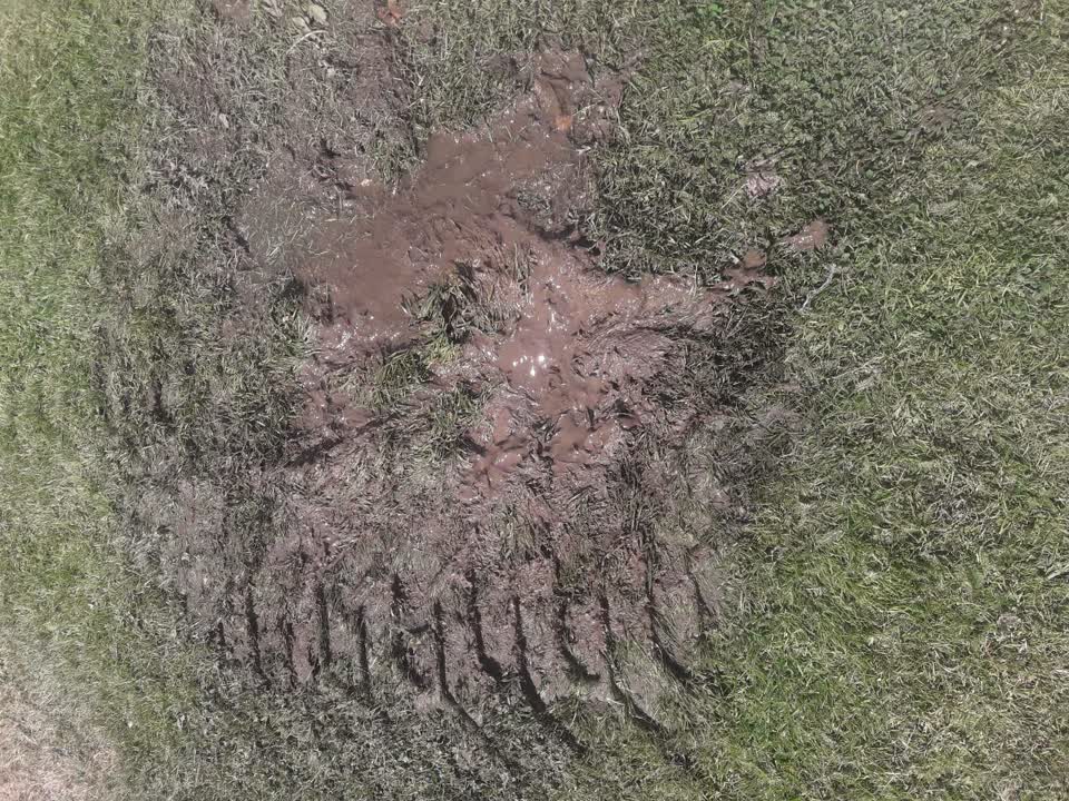 The photograph attached to this parks report