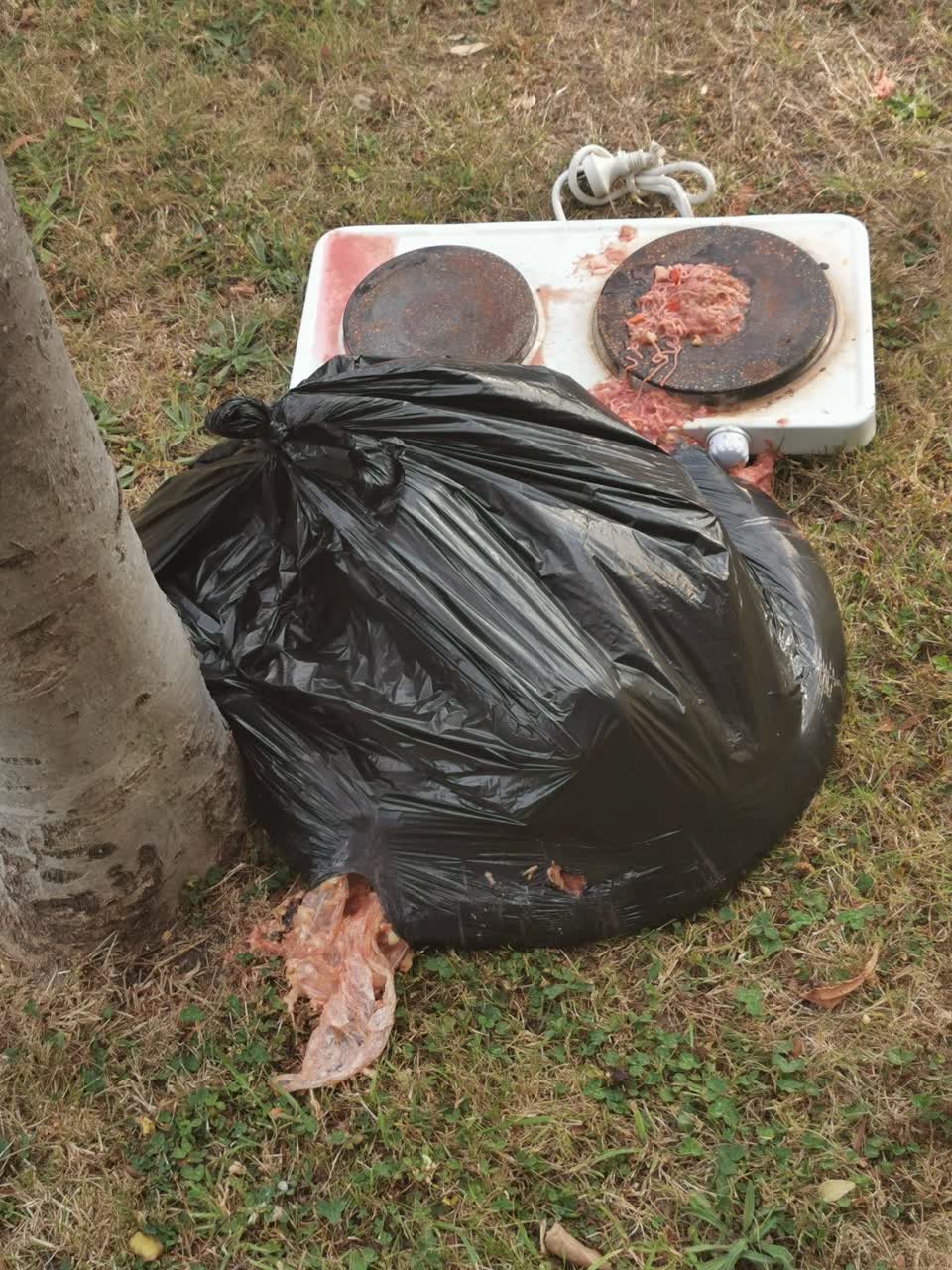 The photograph attached to this rubbish/recycling report