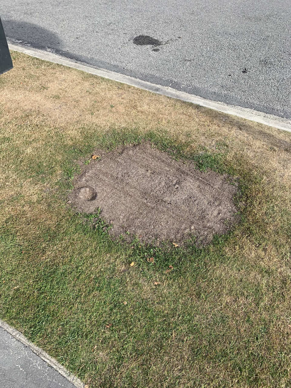 The photograph attached to this parks report