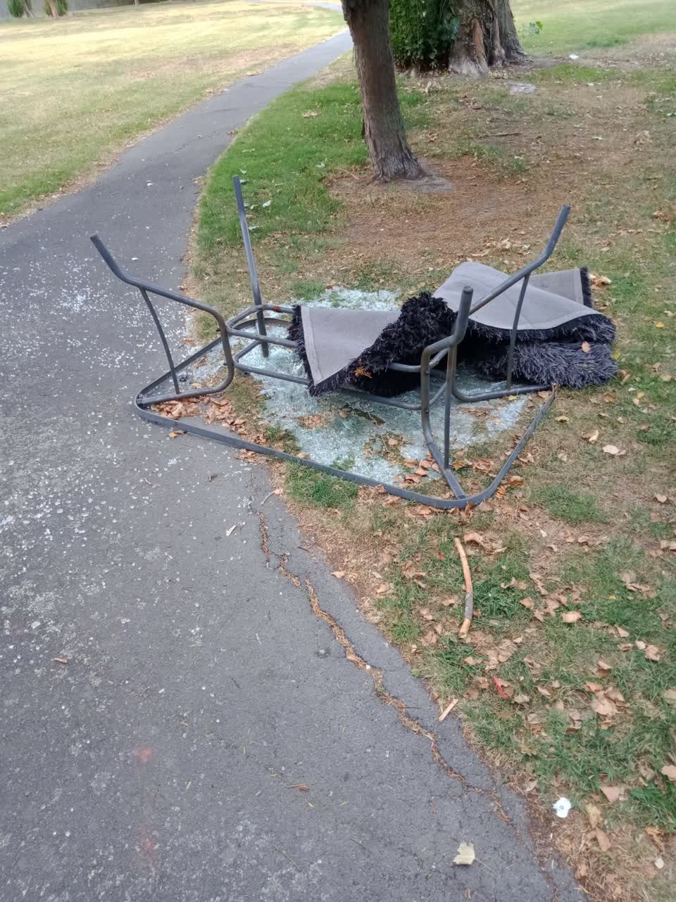 The photograph attached to this parks report