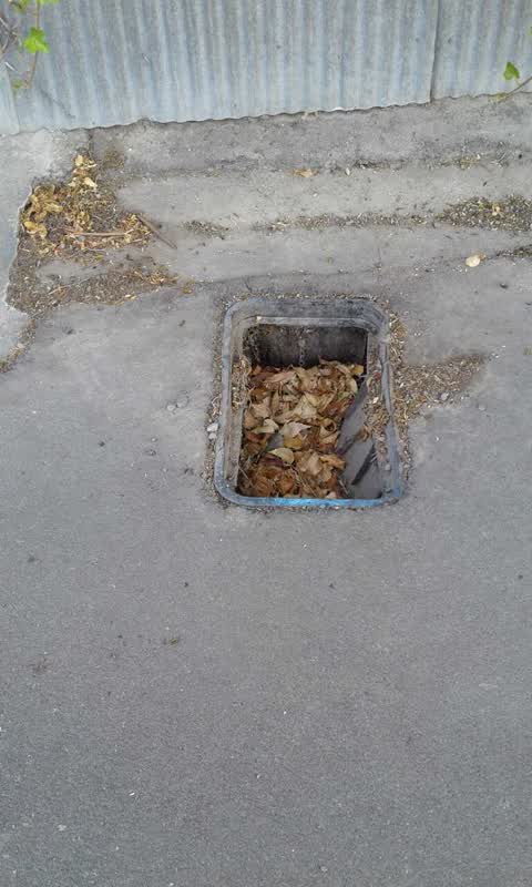 Roading/Streets, a report photo