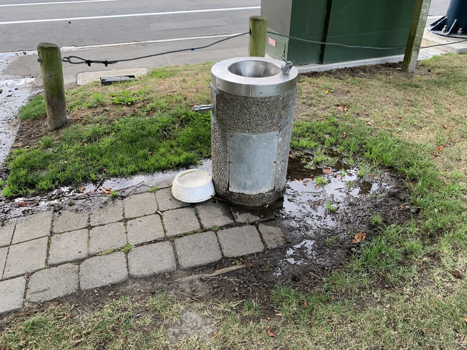 The photograph attached to this parks report