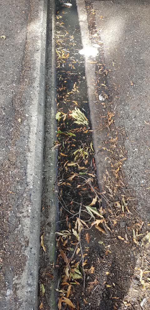 Roading/Streets, a report photo