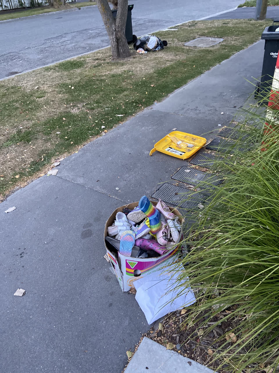 The photograph attached to this rubbish/recycling report