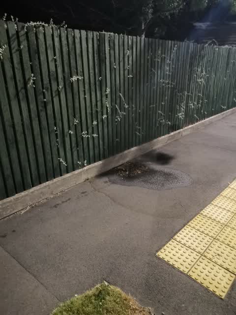 Water Leak, a report photo