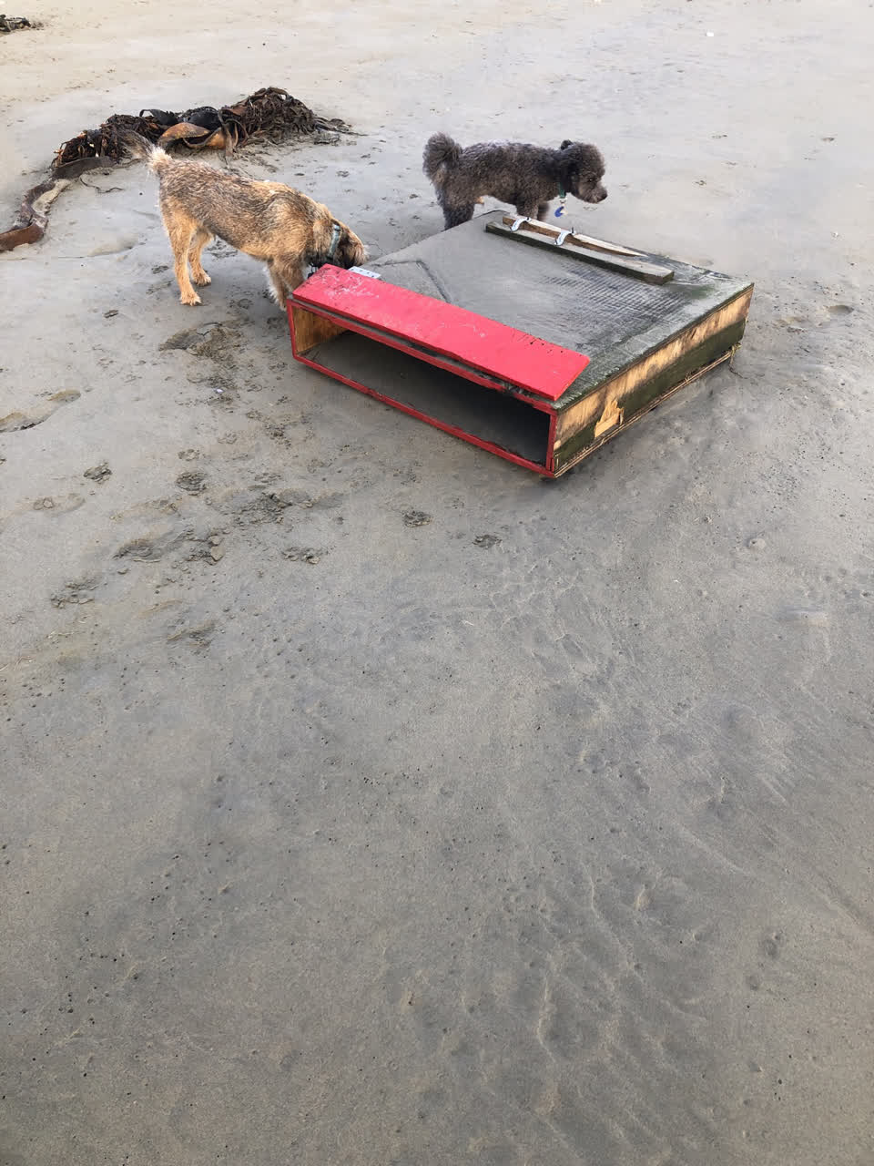 The photograph attached to this general request report