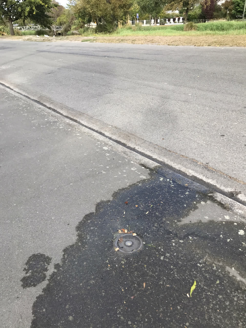 The photograph attached to this water leak report