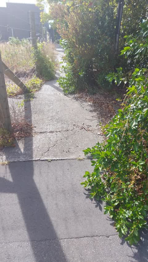 Roading/Streets, a report photo