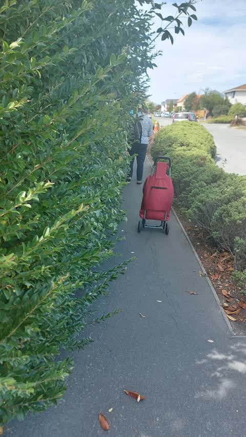 Roading/Streets — a report photo