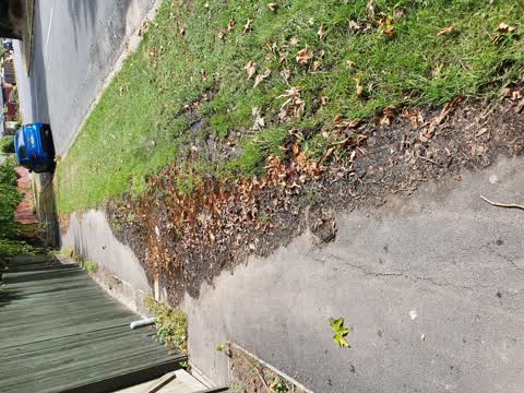 Water Leak — a report photo
