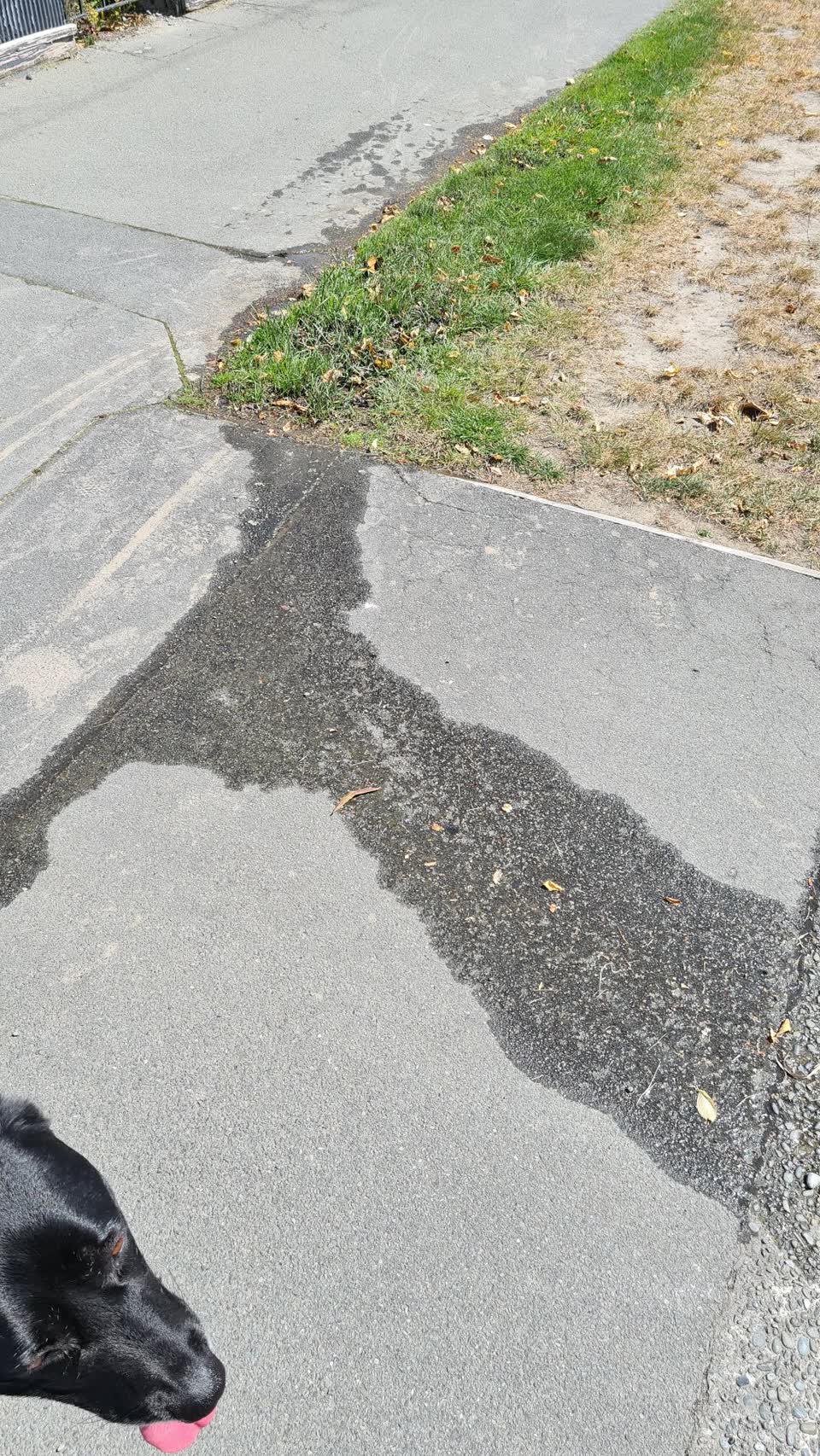 The photograph attached to this water leak report