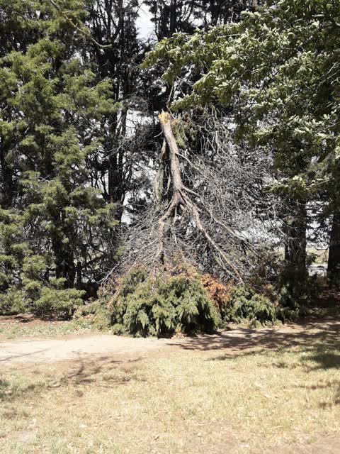 Parks, a report photo