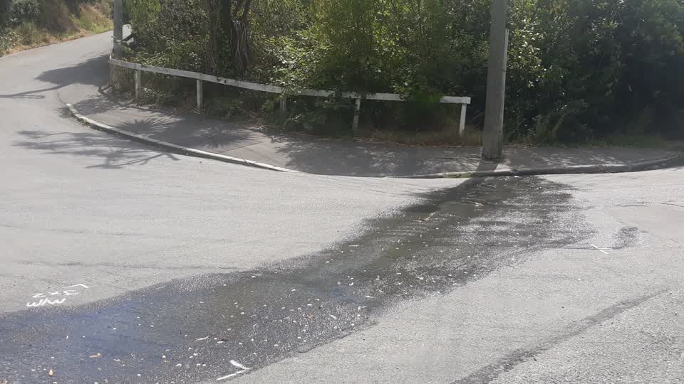 The photograph attached to this water leak report