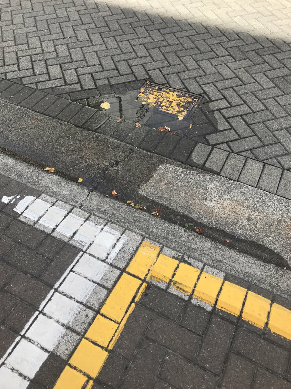 The photograph attached to this water leak report