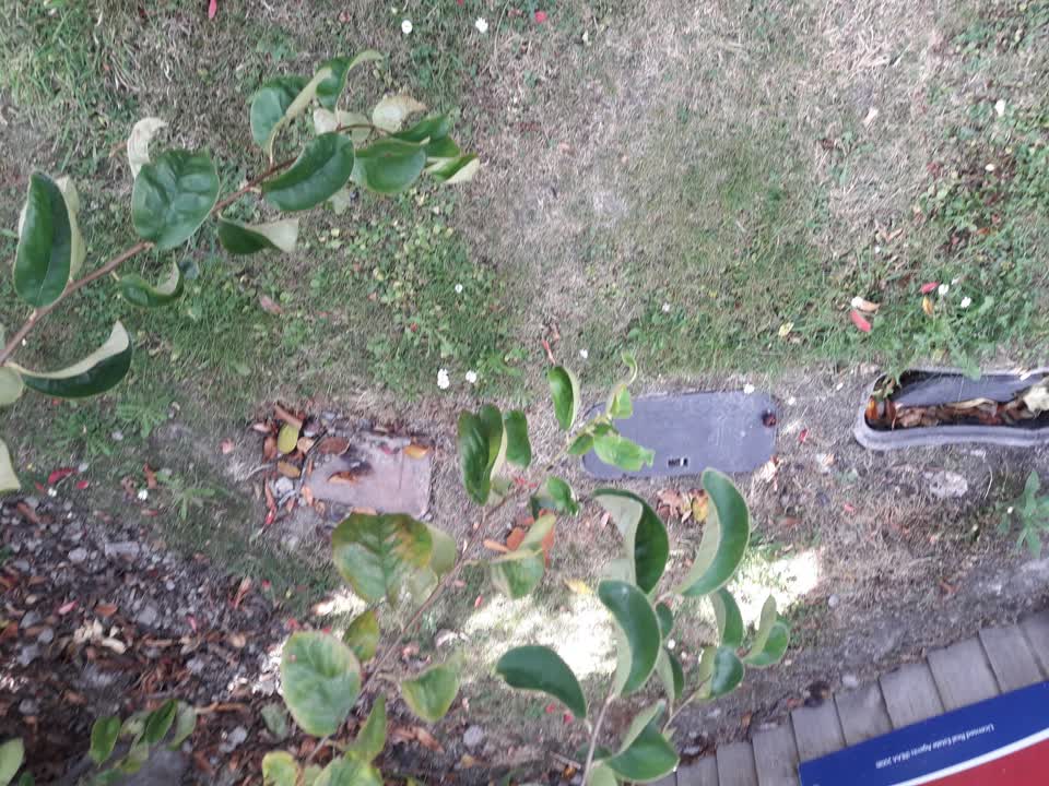 The photograph attached to this water supply report