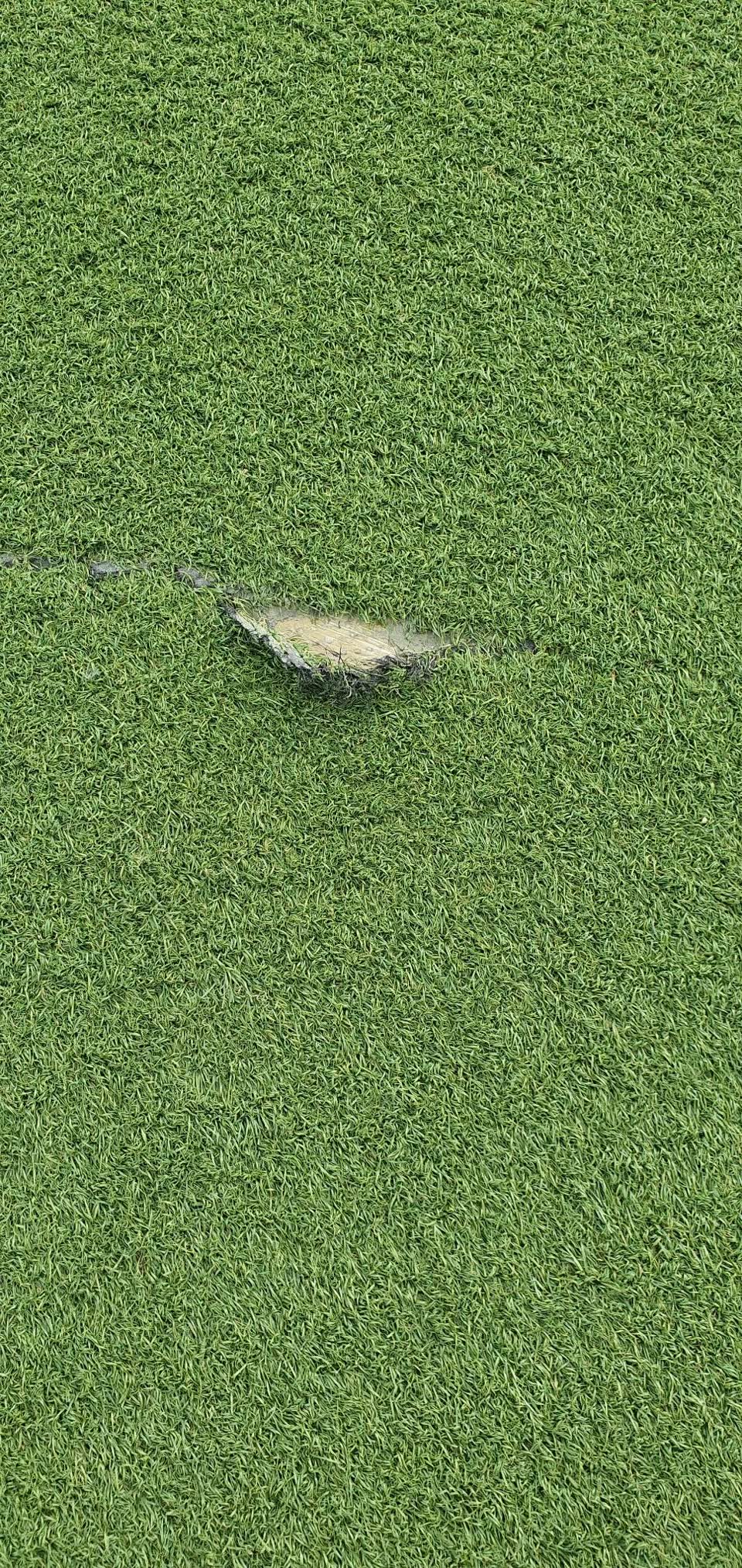 The photograph attached to this parks report