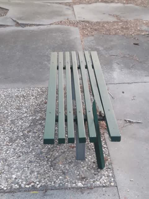 Parks, a report photo