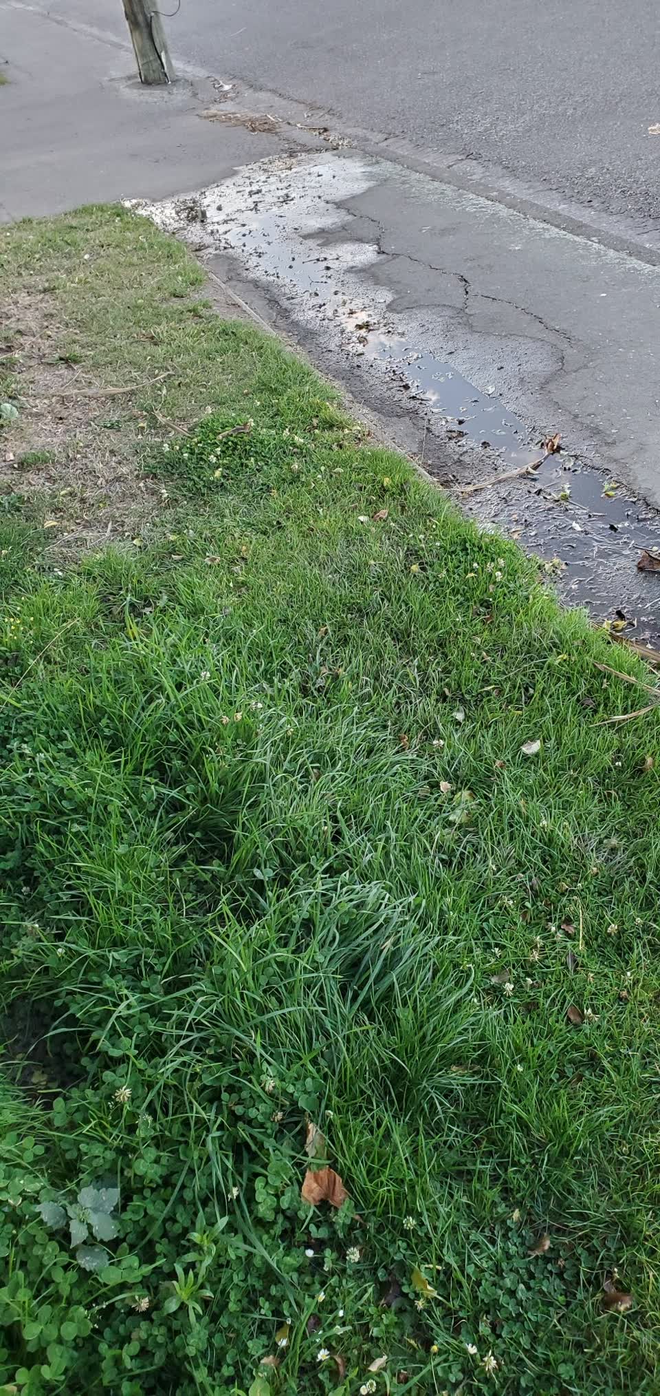 The photograph attached to this water leak report
