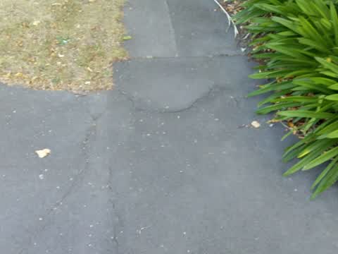 Roading/Streets, a report photo