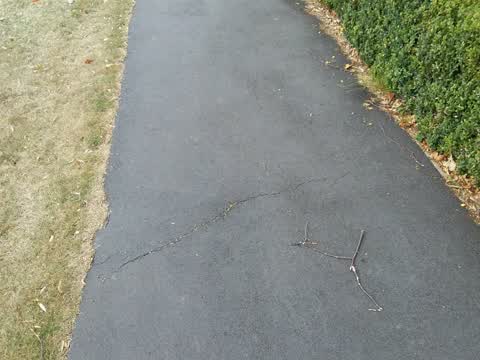 Roading/Streets, a report photo