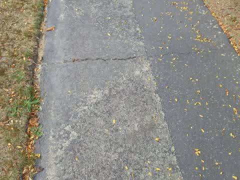 Roading/Streets, a report photo