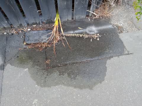 Water Leak, a report photo