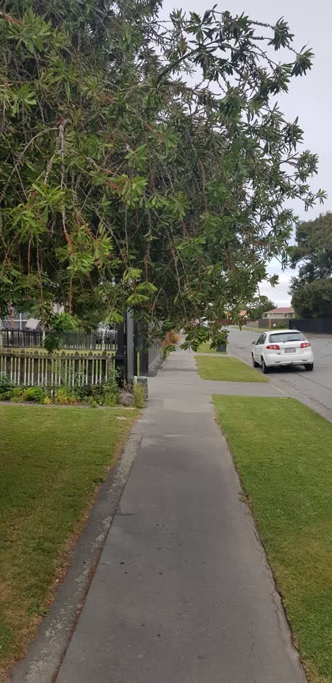 Roading/Streets, a report photo