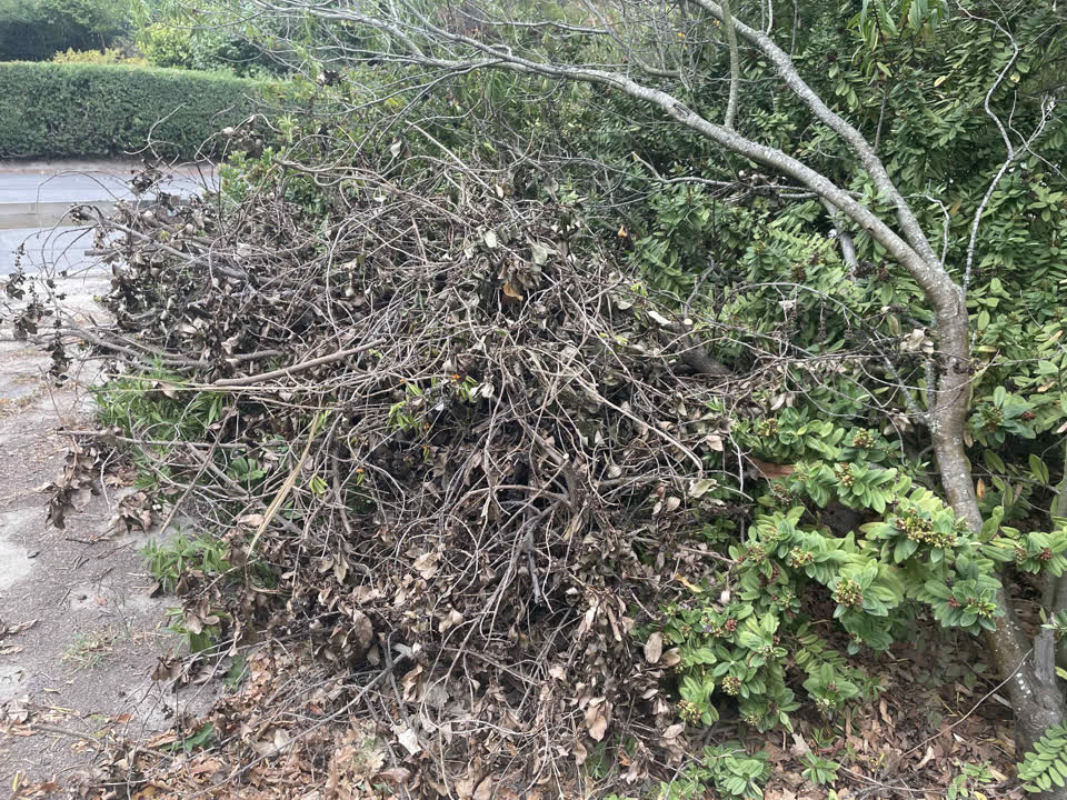 The photograph attached to this parks report