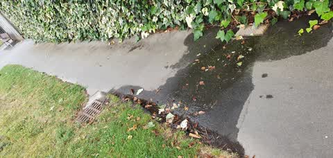 Water Leak, a report photo