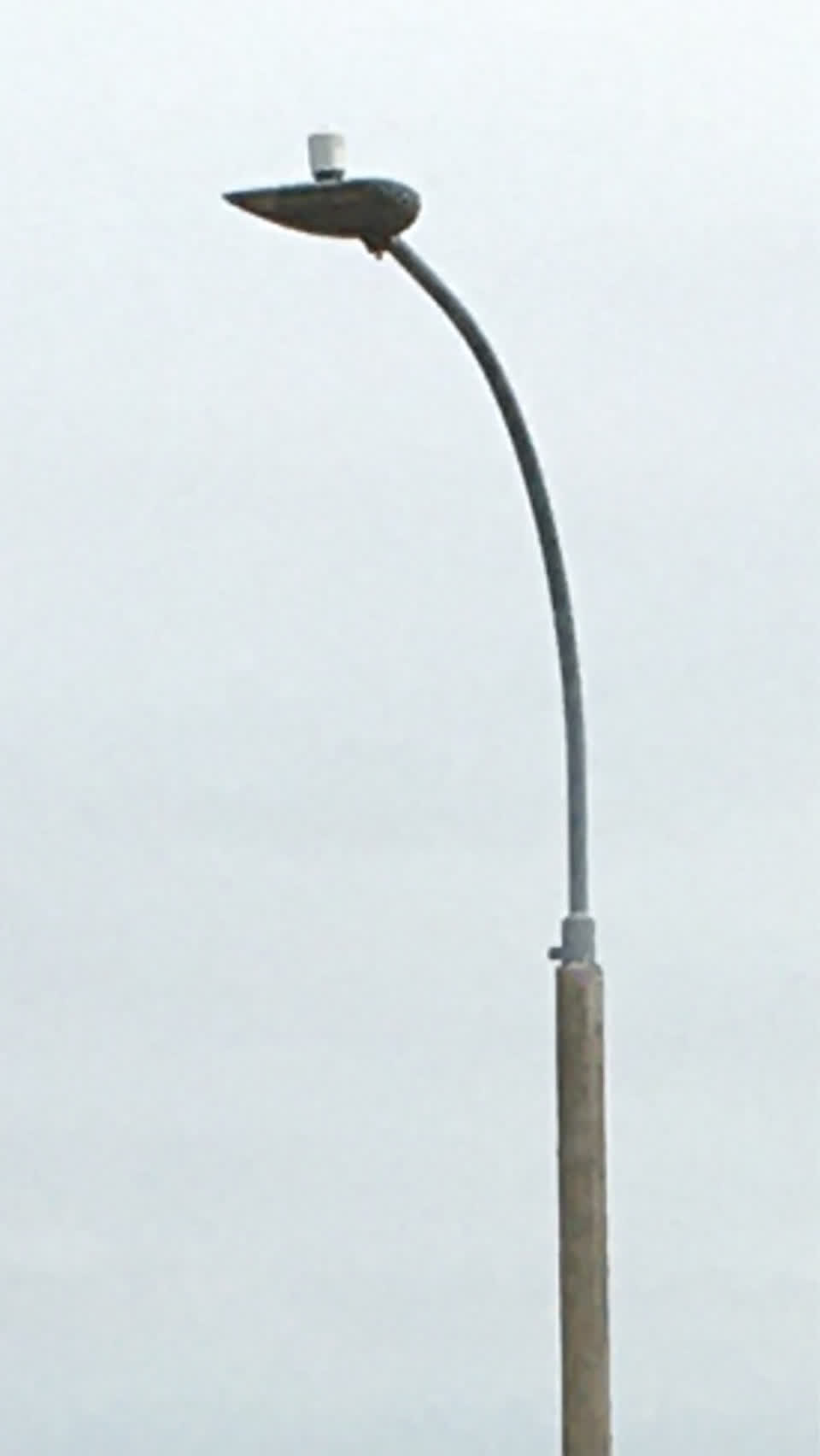 The photograph attached to this street light outage report