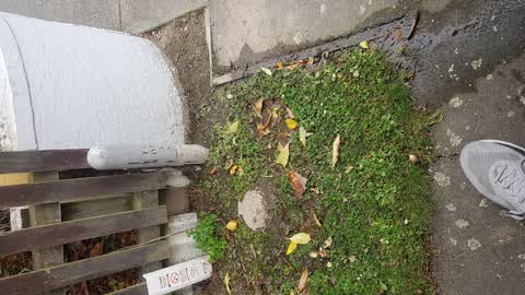 Water Leak, a report photo